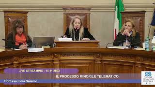 IL PROCESSO MINORILE TELEMATICO  15112023 [upl. by Rundgren]