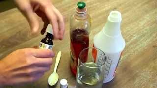 Get Rid of Spiders How to Make Natural Spider Repellent [upl. by Thgiled]