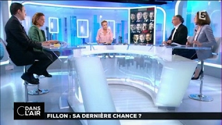 Fillon  sa dernière chance  cdanslair 04042017 [upl. by Meg189]