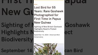 A bird ‘lost to science’ REDISCOVERED after 55 years birds extinction [upl. by Korman993]