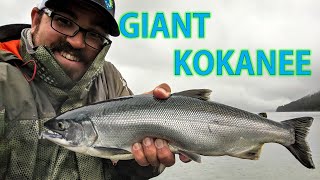 In Pursuit of Trophy Kokanee The King of Kokanee Lakes is Making a Comeback [upl. by Asirrom]