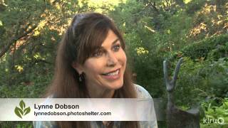 Shade garden retreat Lynne Dobson Central Texas Gardener [upl. by Duj]