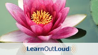 The Dhammapada  Full Audiobook [upl. by Lindly]