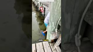 Tortuga Como Gusano Encontrada en el Agua 😳 [upl. by Ekram]