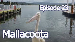 Caravan Adventures Episode 23 Mallacoota [upl. by Aihsram]