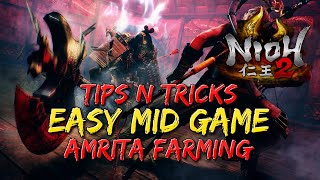 Nioh 2  Tips and Tricks  Easy Mid Game Amrita Farming [upl. by Cran]