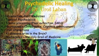 Top Minds of Psychedelics Dr Laban [upl. by Isayg]