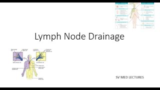 Lymph node drainage [upl. by Noami972]