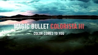 MAGIC BULLET COLORISTA III [upl. by Anabahs]