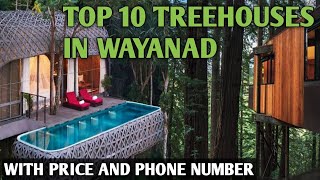 Best Treehouses in Wayanad Best Resort in Wayanad  Wayanad Treehouse  Wayanad Resort [upl. by Virginia]