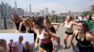 Paule amp Kens Flash Mob Proposal  Brooklyn Promenade NYC [upl. by Thanh380]