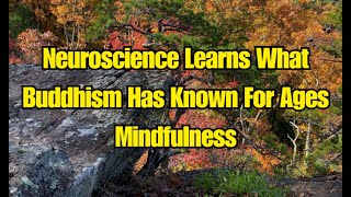 Neuroscience Learns What Buddhism Has Known For Ages Mindfulness [upl. by Lenoil]