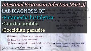 Intestinal Protozoan Infection Part3  Lab diagnosis of Ehistolytica Glamblia Coccidian paras [upl. by Louanne]