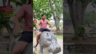 Naik Kuda Nil bikin Gagal Fokus 🤣🦛 shorts kudanil comedy funny [upl. by Gonzalez]