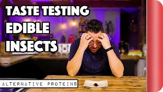 Taste Testing Edible Bugs amp Insects  Alternative Proteins  Sorted Food [upl. by Spitzer943]