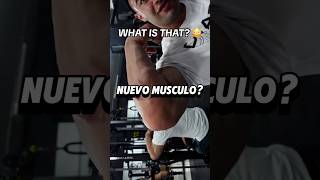 Hernia muscular o lipoma🧐 gimnasio gym shortgym short culturismo gymtips consejosgym [upl. by Alleyn]