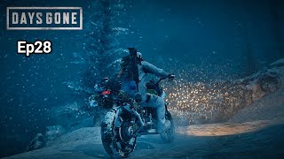 DAYS GONE ep28 [upl. by Crudden]