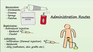 Local Anesthetics  Mechanism Indications amp Side Effects [upl. by Brownson]