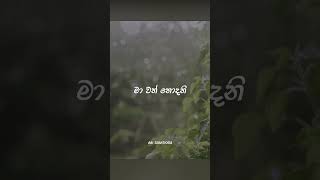 Wehilihiniyaneවැහිලිහිණියනේ  Roshan Fernando ❤️🎧 roshanfernando wehilihinidrama asicreations [upl. by Sihunn242]