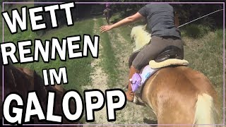 Wettrennen im Galopp ✮✮✮✮✮ [upl. by Finnie]