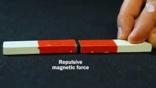 Video Lab Magnetic forces [upl. by Yznyl]