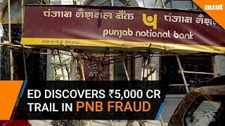 ED discovers Rs 5000 crore trail in PNB fraud [upl. by Tonkin]