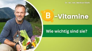 BVitamine  Wie wichtig sind sie Dr rer nat Markus Stark [upl. by Allayne275]