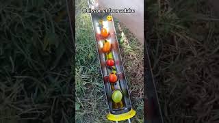 La cuisson au four solaire cest vraiment une panacée  astuce cuisine recette solar autonomie [upl. by Marlene604]