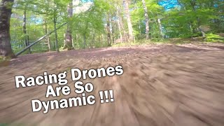 Fly EVERYWHERE you can  FPV Freestyle [upl. by Drice]