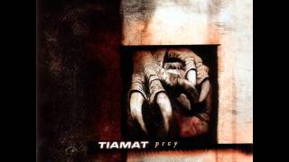 Tiamat  Prey full album [upl. by Dorina381]