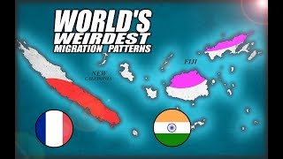 Fiji amp New Caledonia Worlds Weirdest Migration Patterns [upl. by Oznofla]