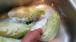 Freezing cabbage the easy method [upl. by Brendin]