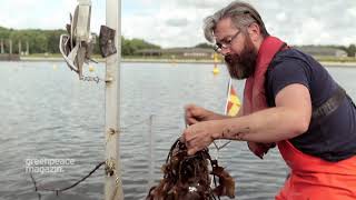 Nachhaltige Aquakultur Die Muschelzüchter der Ostsee [upl. by Laurel]