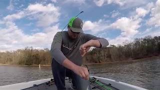 Hartwell Jerk Bait Bite  Phoenix 719 Pro XP [upl. by Alan]