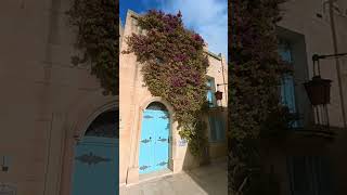 🔷 Mdina Malta Unique Medieval Architecture 🇲🇹 malta mdina walking medieval mediterranean [upl. by Fogarty]