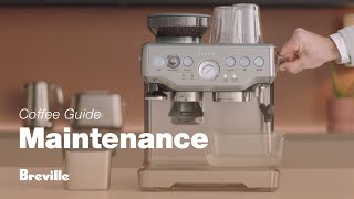 The Barista Express®  Our tutorial on how to descale your espresso machine  Breville USA [upl. by Elyse]