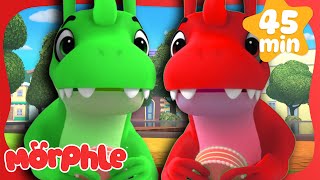 Two Dinosaurs One Cake 🦖 Morphle Dinosaurs 🦕 Cartoons for Kids  Cartoon Compilation [upl. by Gavrah]