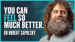 How To Beat Stress amp Improve Your Quality Of Life  Dr Robert Sapolsky [upl. by Anerdna333]