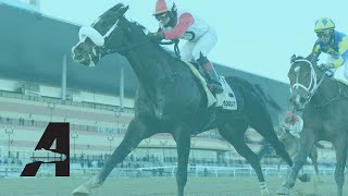 Aqueduct Racing  February 11 2022 [upl. by Anairam]