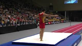 2015 Tumbling World Championships Male [upl. by Narmi833]