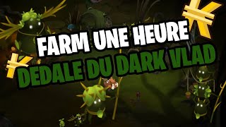 DOFUS Farm UNE HEURE le Dédale du Dark Vlad 35  Amakna [upl. by Schlosser]