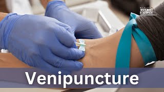 Venipuncture [upl. by Jez]