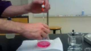 Methyl Red Titration [upl. by Aramot]