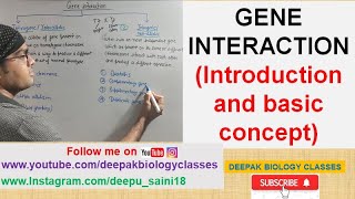 GENE INTERACTION  introduction and basic concept  NEET  CSIR  DBT  ICMR  GATE [upl. by Nirat]