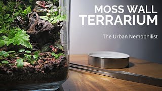 How to build a Moss wall terrarium  Easy DIY Moss wall terrarium [upl. by Leiva]