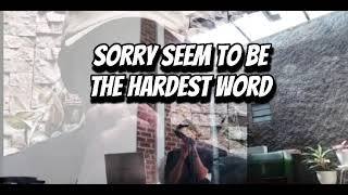 Sorry Seems to Be the Hardest Word  Elton John Cover [upl. by Adleremse]