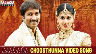 Choosthunna Song  Mogudu Video Songs  Gopichand Taapsee [upl. by Balsam310]