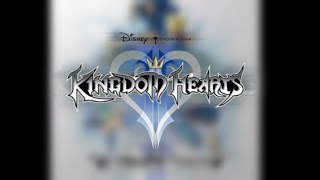 REMIX Dance to the Death  Kingdom Hearts 2 [upl. by Marvel529]