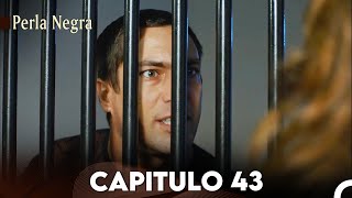 Perla Negra Capitulo 43 Doblado En Español [upl. by Danyluk928]