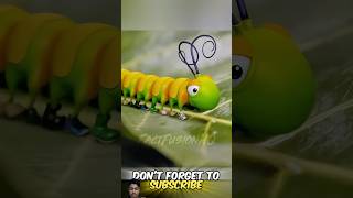 Caterpillar 🐛 have shoes 👟 amazingfacts insects butterfly youtubeshorts [upl. by Roer]